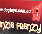 Kenzie Frenzy custom vehicle magnetic signs